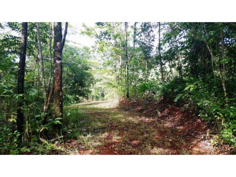 36 Mahogany Road, Daintree QLD 4873