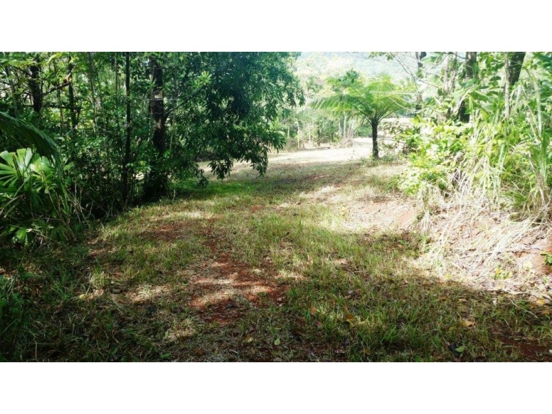 36 Mahogany Road, Daintree QLD 4873