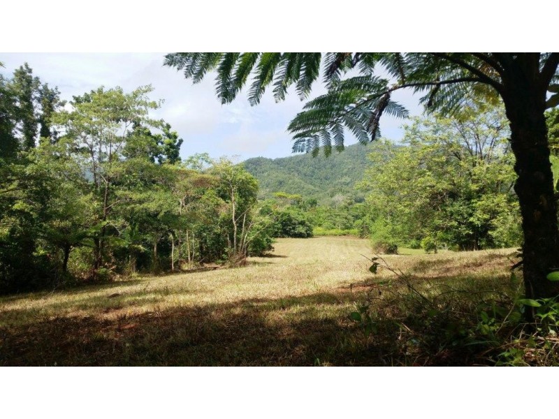 36 Mahogany Road, Daintree QLD 4873