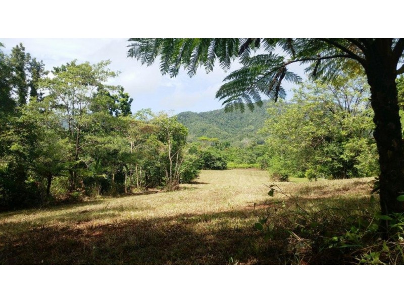 36 Mahogany Road, Daintree QLD 4873