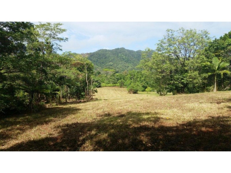 36 Mahogany Road, Daintree QLD 4873