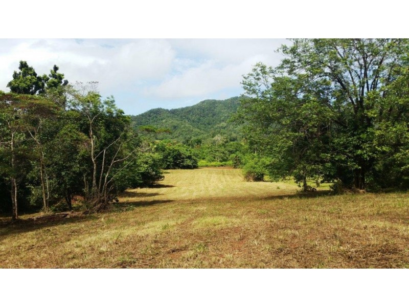 36 Mahogany Road, Daintree QLD 4873