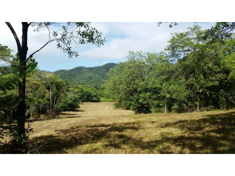 36 Mahogany Road, Daintree QLD 4873