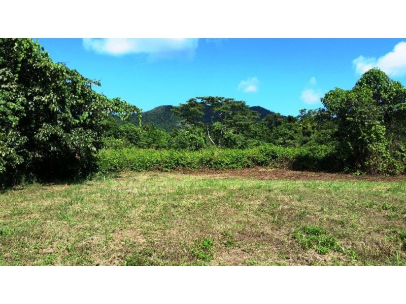 36 Mahogany Road, Daintree QLD 4873