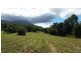 36 Mahogany Road, Daintree QLD 4873