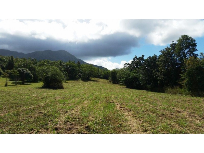36 Mahogany Road, Daintree QLD 4873
