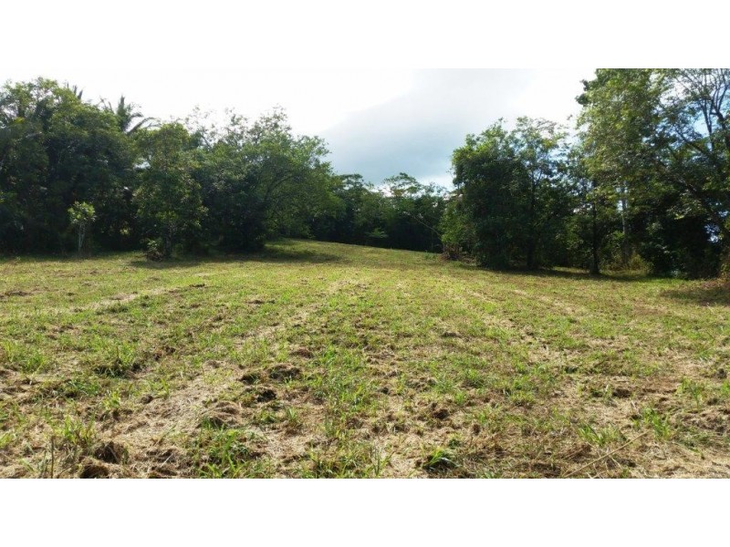 36 Mahogany Road, Daintree QLD 4873