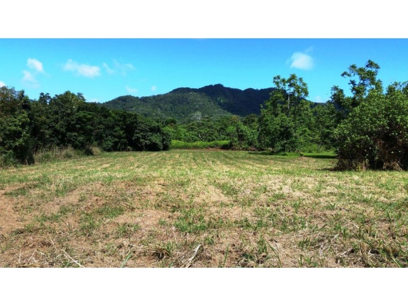36 Mahogany Road, Daintree QLD 4873