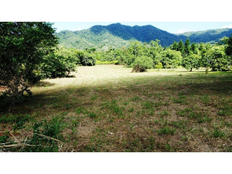 36 Mahogany Road, Daintree QLD 4873