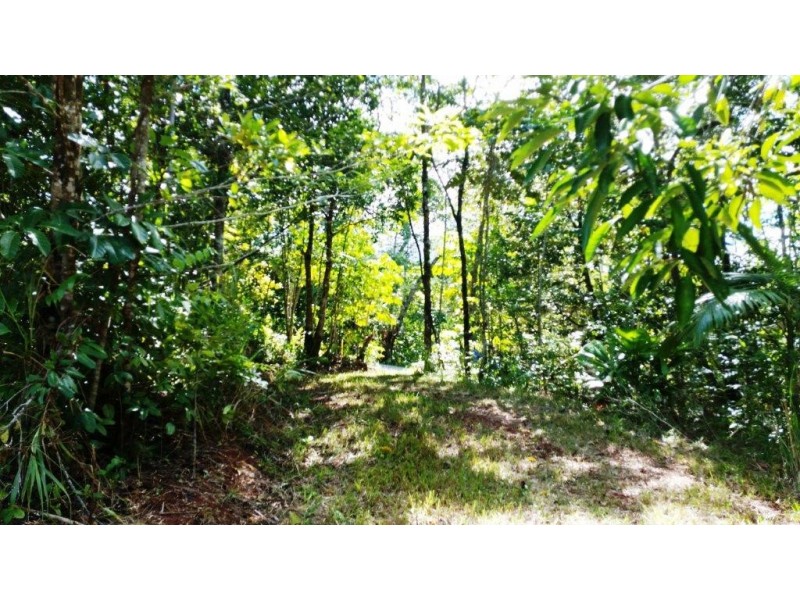 36 Mahogany Road, Daintree QLD 4873