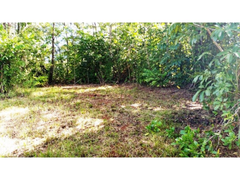 36 Mahogany Road, Daintree QLD 4873