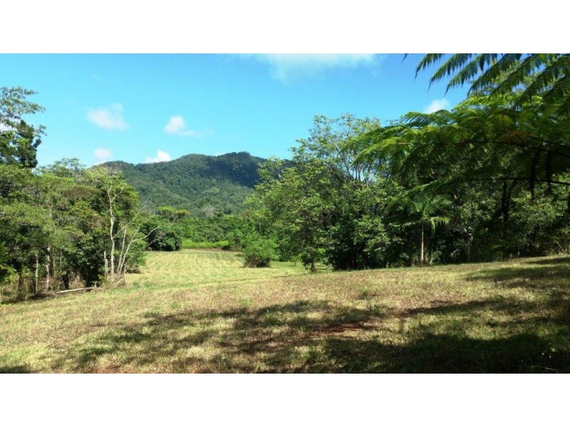 36 Mahogany Road, Daintree QLD 4873