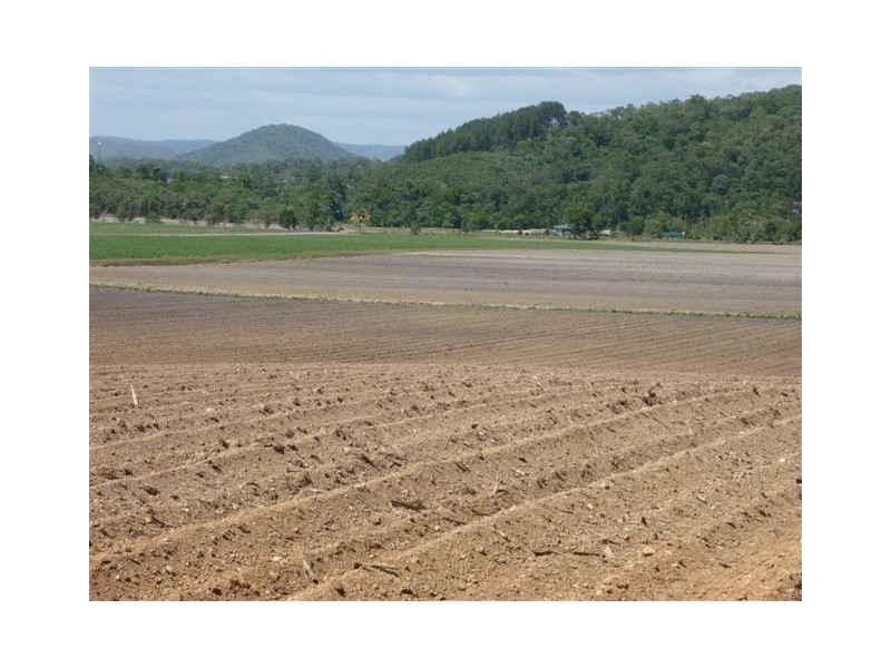 Lot 2 Schilds Road, Miallo QLD 4873