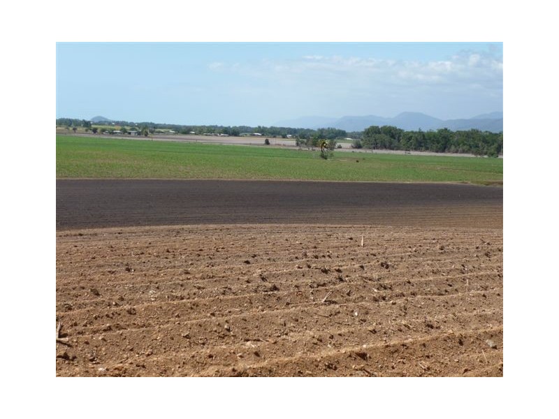 Lot 2 Schilds Road, Miallo QLD 4873