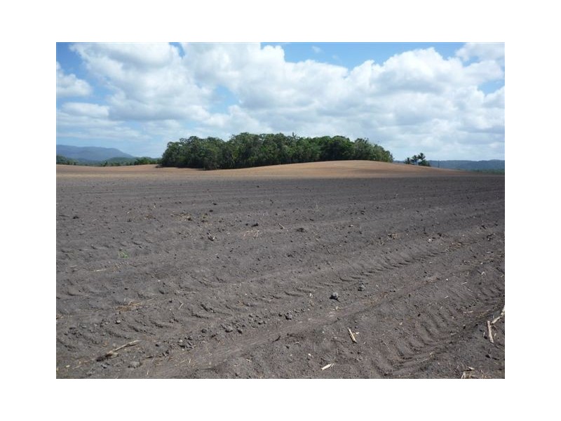 Lot 2 Schilds Road, Miallo QLD 4873