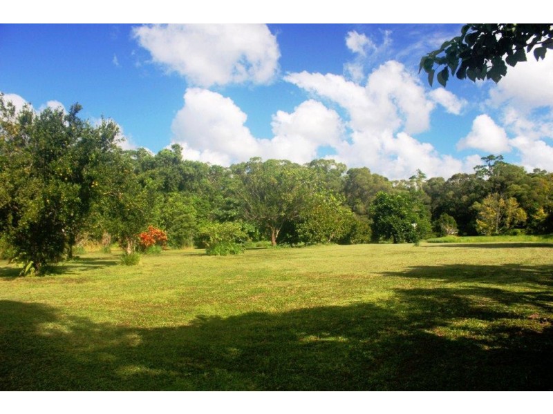 215 Forest Creek Road, Daintree QLD 4873