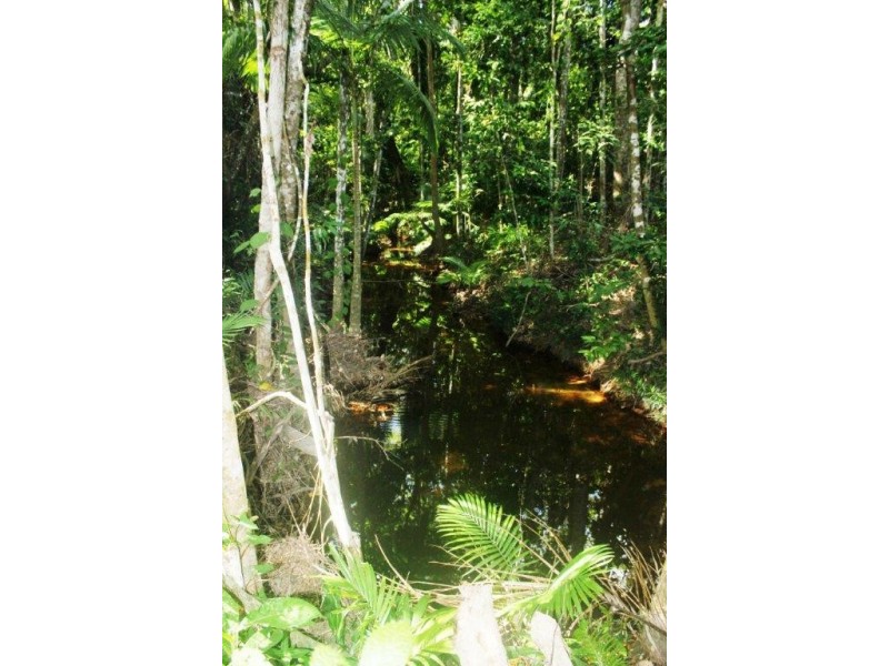 215 Forest Creek Road, Daintree QLD 4873