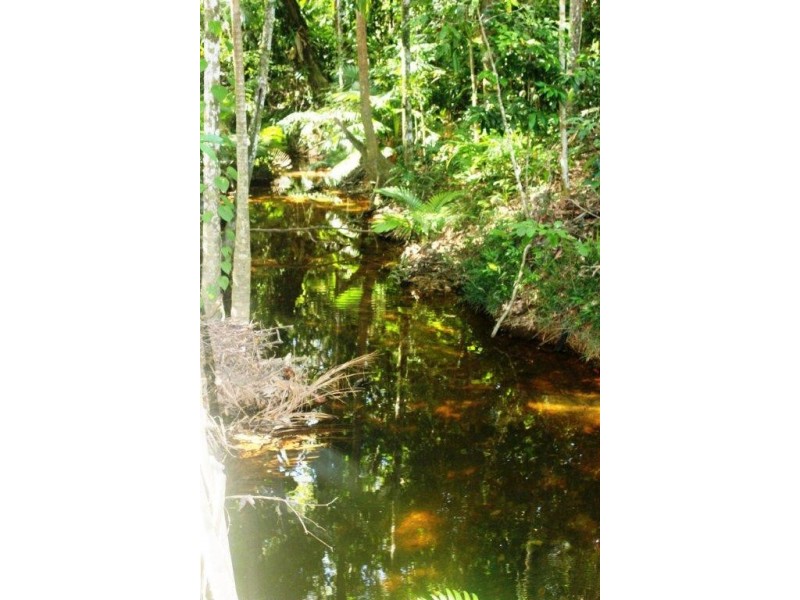 215 Forest Creek Road, Daintree QLD 4873