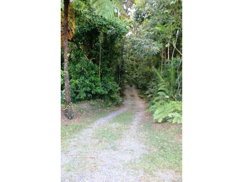 215 Forest Creek Road, Daintree QLD 4873