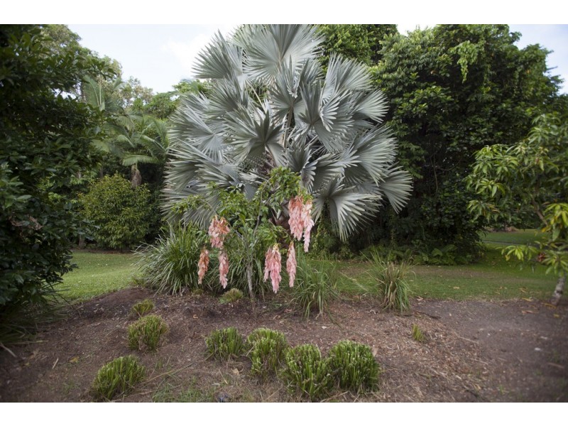 22 Beachfront Mirage, Port Douglas QLD 4877