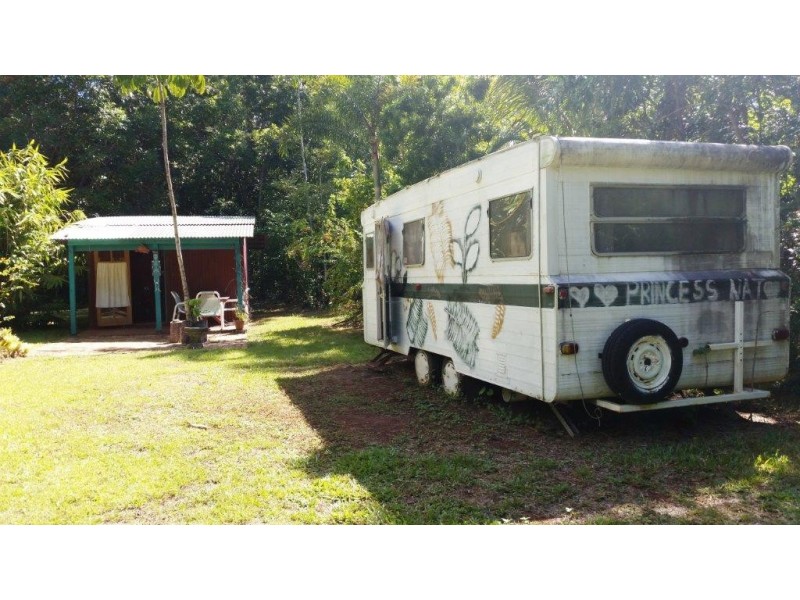 513 Silver Ash Road, Daintree QLD 4873