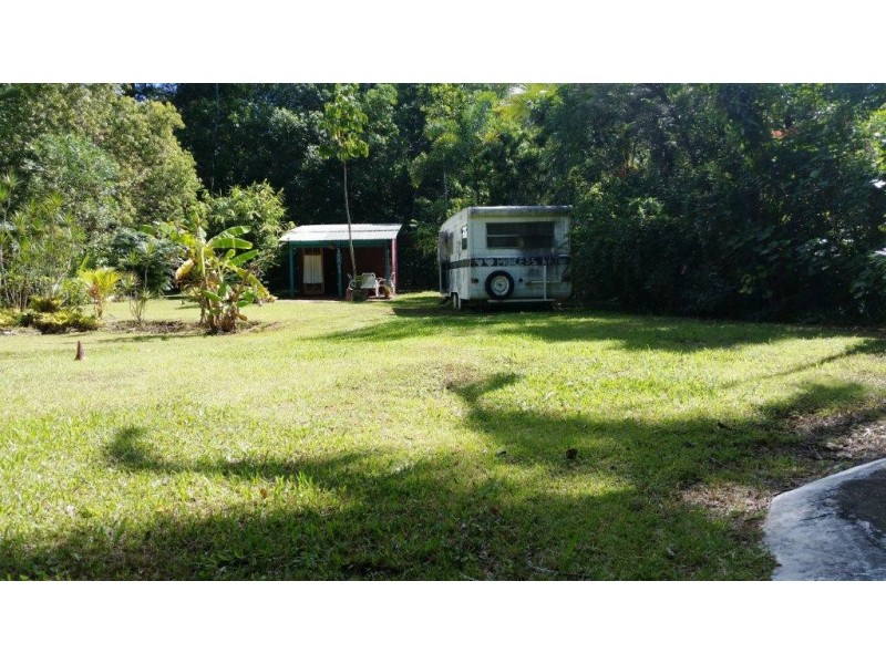 513 Silver Ash Road, Daintree QLD 4873