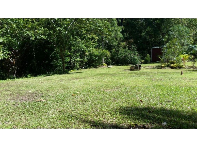 513 Silver Ash Road, Daintree QLD 4873