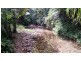 513 Silver Ash Road, Daintree QLD 4873