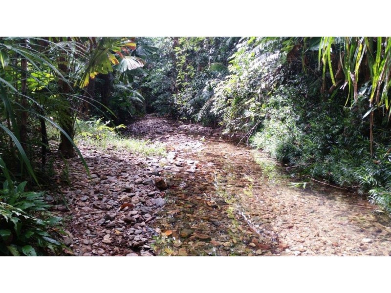 513 Silver Ash Road, Daintree QLD 4873