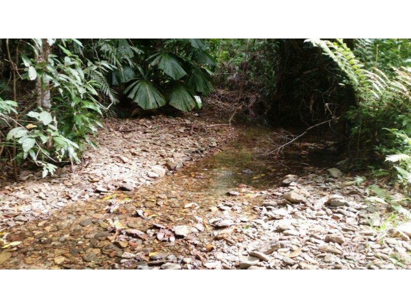 513 Silver Ash Road, Daintree QLD 4873