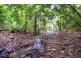 Lot 163 Wattle Close, Daintree QLD 4873