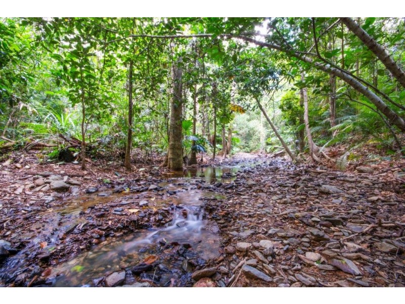 Lot 163 Wattle Close, Daintree QLD 4873