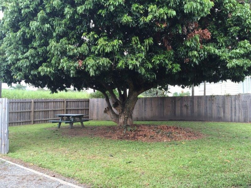 24 Junction Road, Mossman QLD 4873