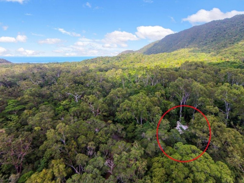 163 (49) Wattle Close, Daintree QLD 4873