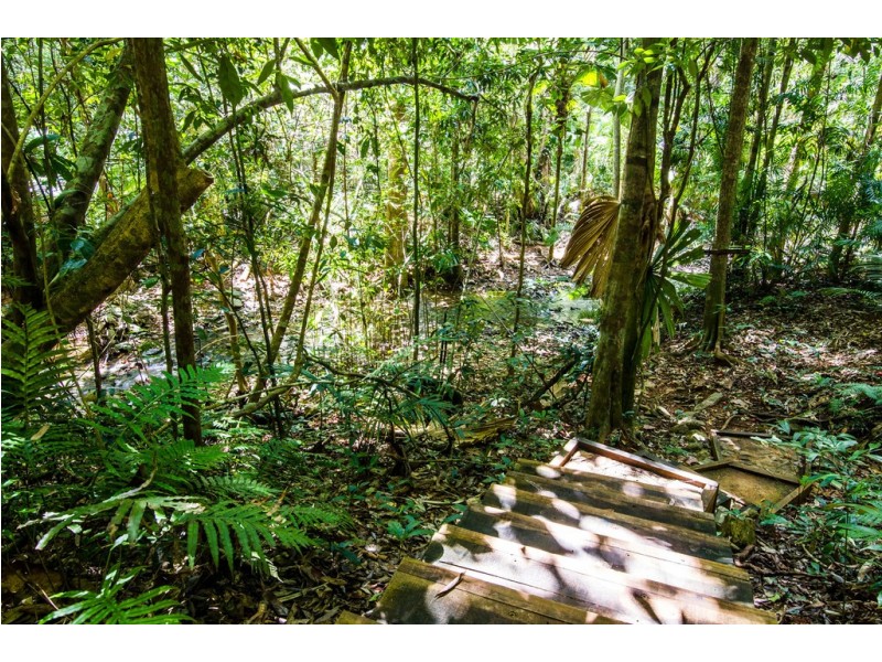 163 (49) Wattle Close, Daintree QLD 4873