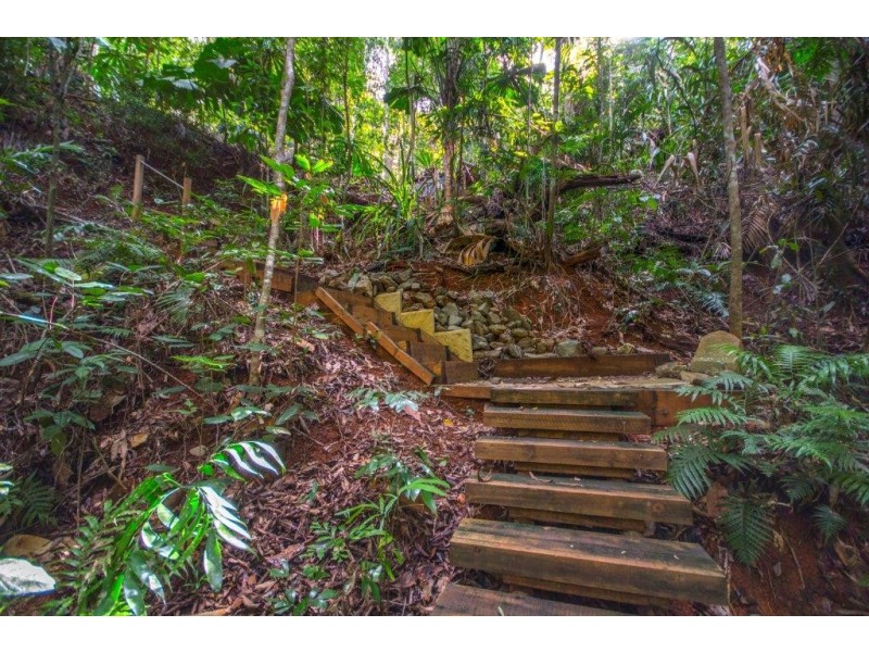 163 (49) Wattle Close, Daintree QLD 4873