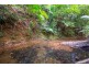 163 (49) Wattle Close, Daintree QLD 4873