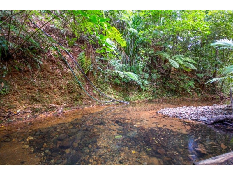 163 (49) Wattle Close, Daintree QLD 4873