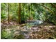 163 (49) Wattle Close, Daintree QLD 4873