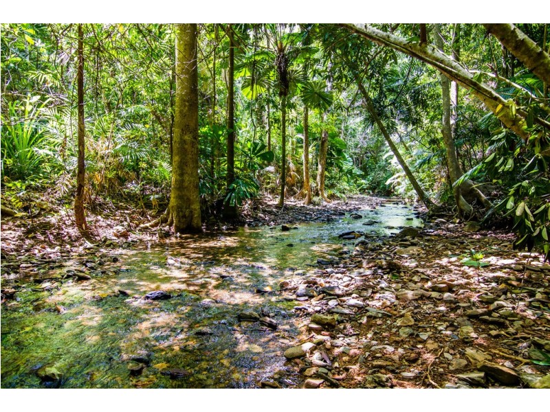 163 (49) Wattle Close, Daintree QLD 4873