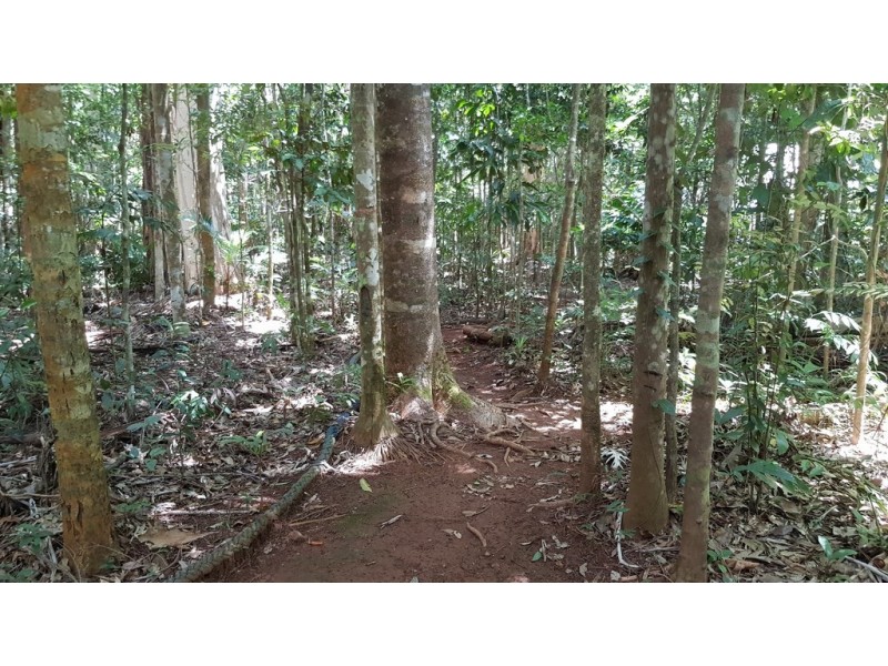 163 (49) Wattle Close, Daintree QLD 4873