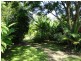 31 Mossman Street, Mossman QLD 4873