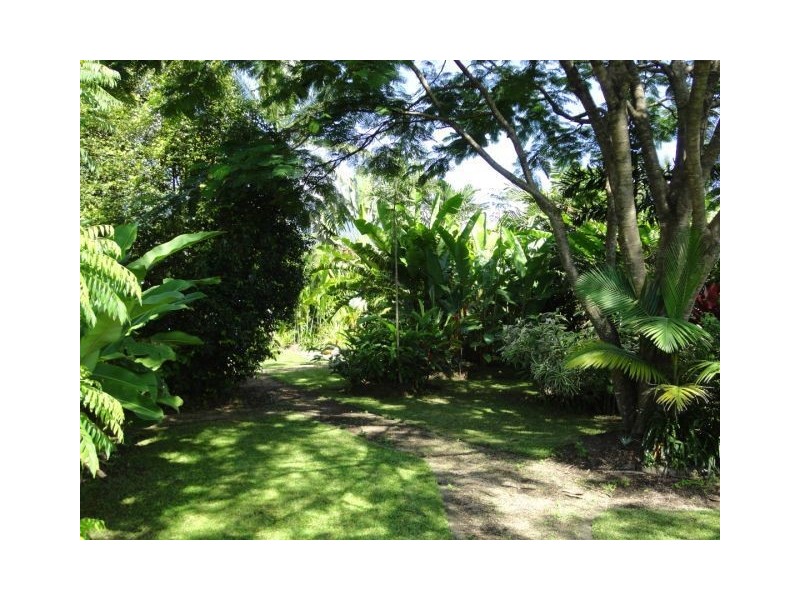 31 Mossman Street, Mossman QLD 4873