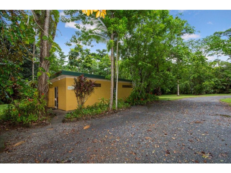 1 Cape Trib Rd Diwan, Daintree QLD 4873