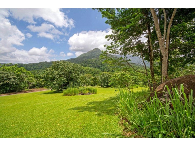 1 Cape Trib Rd Diwan, Daintree QLD 4873