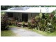 210 White Beech Road, Daintree QLD 4873