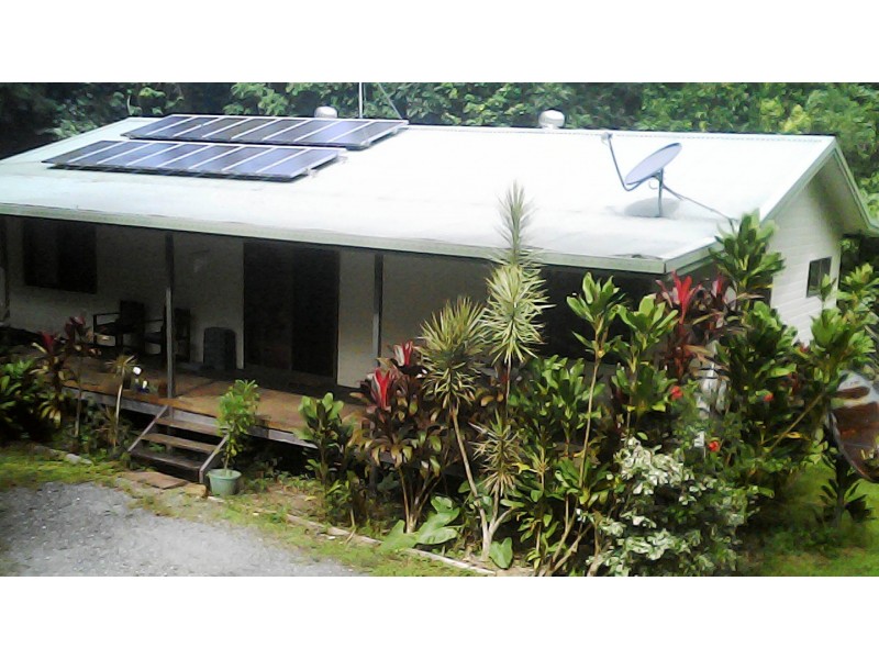 210 White Beech Road, Daintree QLD 4873