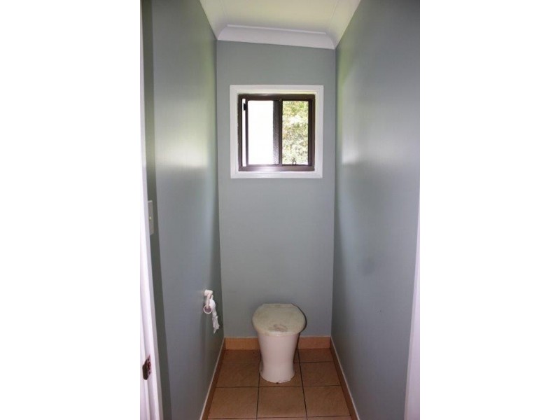 210 White Beech Road, Daintree QLD 4873