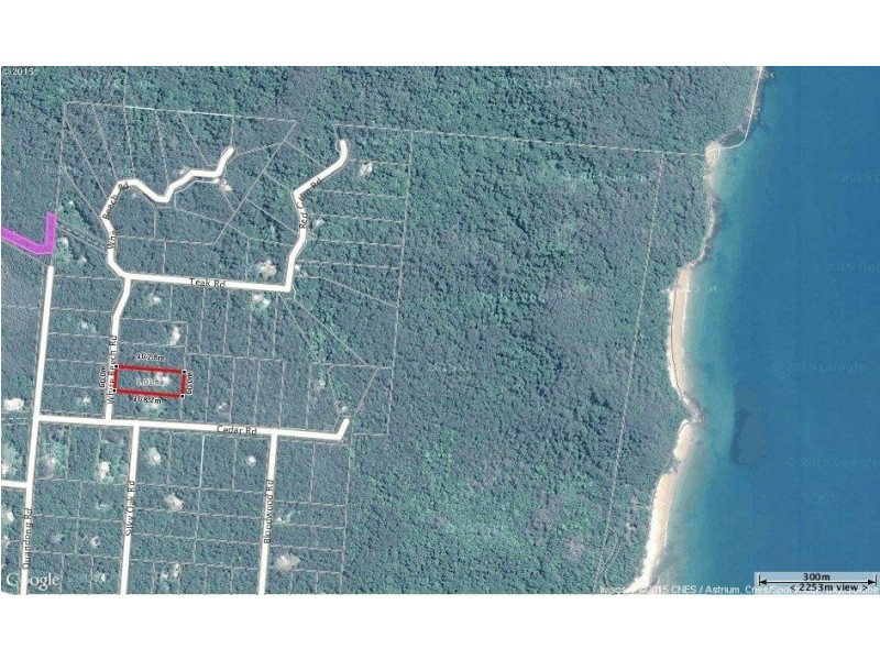 10 White Beech Road, Daintree QLD 4873