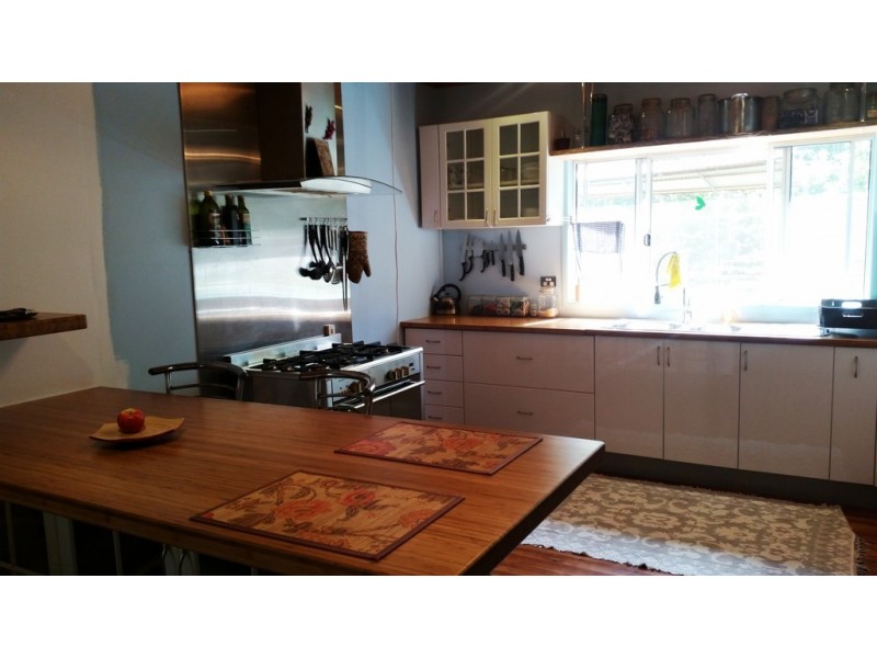 10 White Beech Road, Daintree QLD 4873